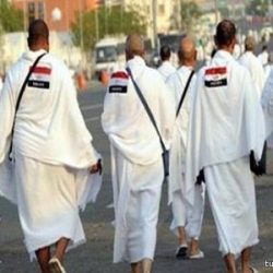 مصادر تؤكد اعتذار سماحة المفتي عن خطبة عرفة لظروف صحية.. و3 مرشحون بدلاً منه