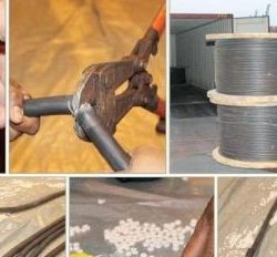 أنباء عن صدور تراخيص لأندية رياضية نسائية.. قريباً