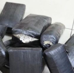 مدير فرع هيئة الأمر بالمعروف بالشمالية يقوم بجولة ميدانية تفقدية خلال فترة إجازة عيد الاضحى