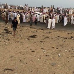 بالفيديو : اخبارية طريف تزور حراج أغنام طريف بعد تفاوت الأسعار خلال عيد الأضحى