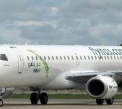 “المرور” يتوعد صابغي سياراتهم بالأخضر في اليوم الوطني بعقوبات صارمة