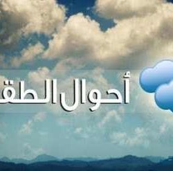 إحباط تهريب أكثر من 13 ألف حبة “كبتاجون” مخدرة عبر جمرك الحديثة