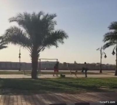 بالفيديو..كلب ضال يهاجم مقيم في منتزه بعرعر وتدخل مواطن ينقذ الموقف