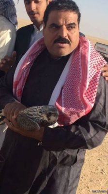 بالصورة..طرح شيهانة فرخة بمنطقة الدبدبه شرق حفر الباطن