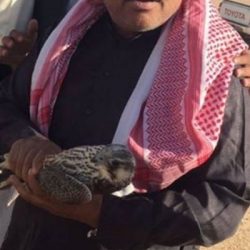 “سار” تنفي بدء إصدار تذاكر “قطار الشمال”