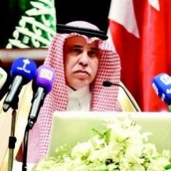 وزير العمل يؤكد أنه لا تراجع عن قرار توطين قطاع الاتصالات