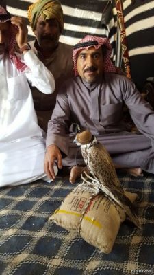 بالصورة..طرح طير وكري بمنطقة البوبهي شرق طريف