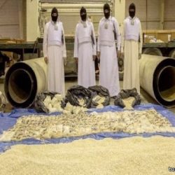 “آل الشيخ” يصدر توجيهاً بعدم الترخيص لأبراج الاتصالات بالقرب من المواقع السياحية ‎