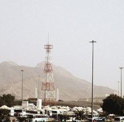 بالصور..طرح فرخ شاهين بمنطقة زهوة شرق عرعر وبيعه مقابل 85 ألف ريال