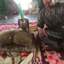 بالصور..القائم بأعمال محافظة طريف يدشن حملة التطعيم ضد الانفلونزا الموسمية