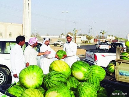 الاخضر السعودي يواجه نظيره الكويتي غدا في أولى مباريات بطولة كأس العرب التاسعة