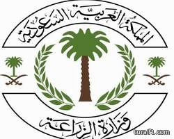 حذر أطباء في المملكة العربية السعودية من الجلوس على الأرض وهي عادة أو نمط حياة في المجتمع السعودي.