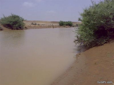 دوري الثانية : القلعة تدك شباك الصقور بأربعة اهداف