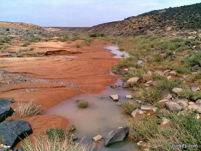 عضو المجلس البلدي مقاط البناقي يرزق بمولود الف مبروك