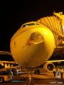 اصطدام طائرة سعودية بسرب طيور أثناء هبوطها بمطار الملك فهد بالدمام
