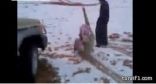 بالفيديو.. شبّان يمارسون هواية التّزلّج على ثلوج طريف