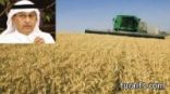 وزير الزراعة : قرار زراعة القمح بيد مجلس الوزراء .. وإمكانياتنا الطبيعية لا تؤهلنا ويجب استيراده