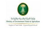 “البيئة” تطرح 101 وظيفة للسعوديين بمركز الملك عبدالعزيز للخيل العربية