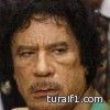 أنباء عن سقوط نظام القذافي وهروبه خارج البلاد