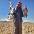 مواقع التواصل الاجتماعي تتداول صور صيد الحباري شمال المملكة في حماد طريف وشمال حزم الجلاميد “صور”
