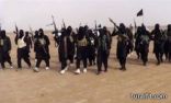 مقتل 13 عنصرا من داعش في الفلوجة بالعراق