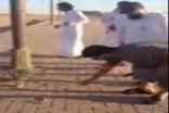 بالفيديو :  مجموعة من الشباب يقبضون على ثعبان في إحدى حدائق طريف