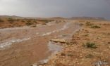 الأرصاد : توقعات بهطول أمطار على الحدود الشمالية وعدد من المناطق