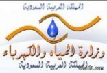 “حياك” لشراء مستندات مناقصات وزارة المياه والكهرباء إلكترونياً