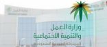 “العمل”: برنامج “دعم التوظيف” يستهدف تدريب السعوديين خارج المملكة