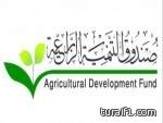 صندوق التنمية الزراعية ينهي إجراءات إعفاء 4176 من المقترضين المتوفين