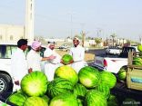 4 سعوديين يبيعون “البطيخ” لحين توفر الوظائف
