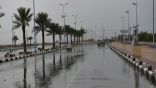 الأرصاد عن طقس الجمعة: أمطار رعدية ورياح نشطة على عدة مناطق