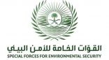 القوات الخاصة للأمن البيئي توقف (32) مخالفًا لنظام البيئة لارتكابهم مخالفات رعي