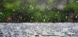 “الأرصاد”: يستمر هطول الأمطار الرعدية مصحوبة برياح نشطة على معظم المناطق