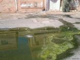 مياه آسنة تسبب الأمراض في حي الخالدي بطريف