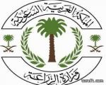 تعيين أربعين فتاة سعودية بإحدى الشركات الزراعية في الرياض
