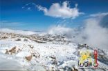 صور من أمطار وثلوج محافظات سوريا هذه الأيام