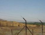 ضبط 140 الف حبة هلوسه بحوزة اردنيين على الحدود الأردنية السعودية
