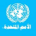 الأمم المتحدة : السماح للسيدات في المملكة بقيادة السيارة خطوة في الاتجاه الصحيح
