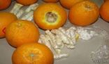 وسط حبات البرتقال : جمرك الحديثة يحبط عملية تهريب 50 الف حبة كبتاجون