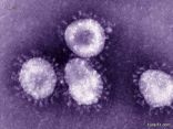 الصحة العالمية تشيد بجهود المملكة في مواجهة فيروس كورونا