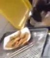 بالفيديو: مطعم شهير بالأحساء يستخرج وجبات الدجاج من القمامة لإعادة بيعها على الزبائن