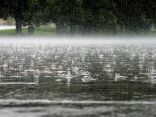 “الأرصاد”: هطول أمطار رعدية مصحوبة برياح مثيرة للأتربة وزخات من البرد على هذه المناطق