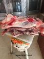 استعداداً لشهر رمضان .. بلدية طريف تصادر كمية من اللحوم الغير صالحة للاستهلاك الآدمي