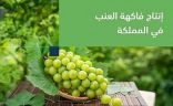 “البيئة”: المملكة تنتج 101 ألف طن من العنب سنويًّا في أكثر من 10 مناطق