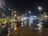 بالفيديو والصور .. أمطار متوسطة على محافظة طريف
