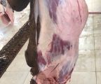 بلدية محافظة طريف تصادر وتتلف ( حاشي )وذلك لوجود تغير في الخصائص الأساسيه للحم