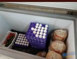 بالصور .. بلدية طريف تصادر مواد غذائية تظهر عليهم علامات الفساد والتلف