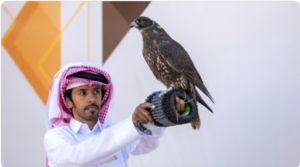 4 أشواط تنافسية في رابع أيام مسابقة الملواح بمهرجان الملك عبدالعزيز للصقور