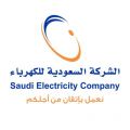 “السعودية للكهرباء”: ملتزمون بقراءة العداد خلال 30 يوماً